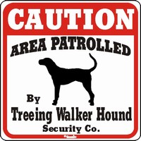 Treeing Walker Hound