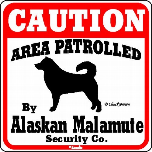 Raining Cats and Dogs | Alaskan Malamute Caution Sign, the Perfect Dog Warning Sign