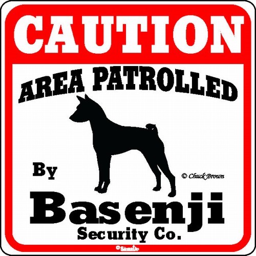 Raining Cats and Dogs | Basenji Caution Sign, the Perfect Dog Warning Sign