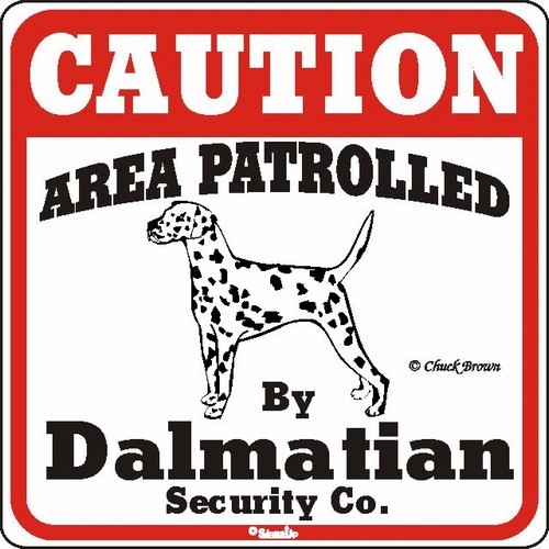Raining Cats and Dogs | Dalmatian Caution Sign, the Perfect Dog Warning Sign