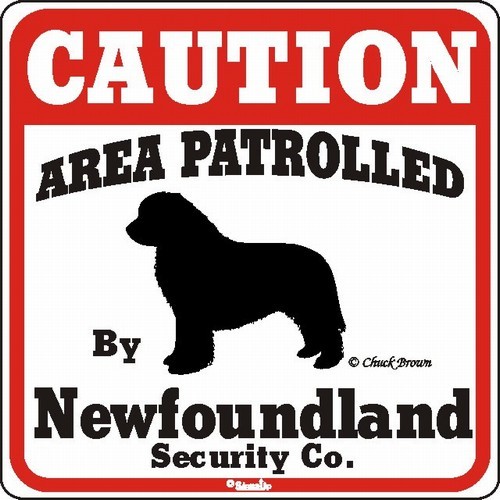 Raining Cats and Dogs | Newfoundland Caution Sign