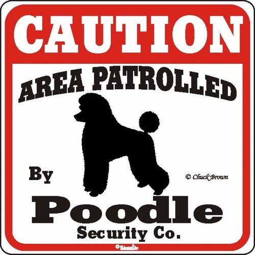 Raining Cats and Dogs | Poodle Caution Sign