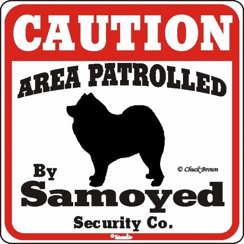 Raining Cats and Dogs | Samoyed Caution Sign