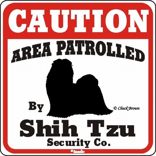 Raining Cats and Dogs | Shih Tzu Caution Sign