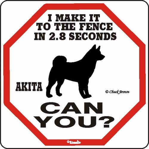 Raining Cats and Dogs | Akita Make It to the Fence in 2.8 Seconds Dog Sign