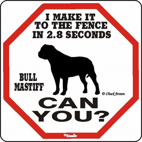 Raining Cats and Dogs | Bullmastiff Make It to the Fence in 2.8 Seconds Sign