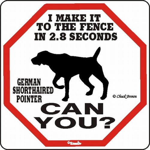 Raining Cats and Dogs | German Shorthaired Pointer Make It to the Fence in 2.8 Seconds Sign