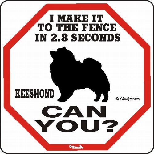 Raining Cats and Dogs | Keeshond Make It to the Fence in 2.8 Seconds Sign