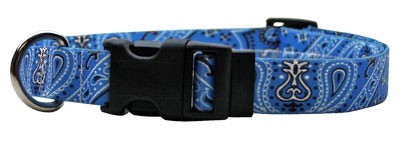 Raining Cats and Dogs | Bandana Print Collar