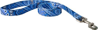 Raining Cats and Dogs | Bandana Print Leash