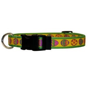 Raining Cats and Dogs | Easter Egg Collar