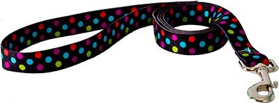 Raining Cats and Dogs | Gumballs Leash