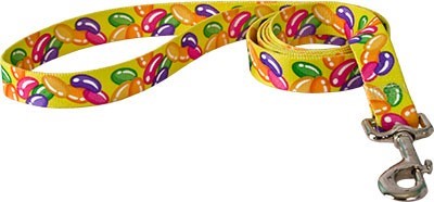 Raining Cats and Dogs | Jelly Bean Leash, an Easter Theme Leash