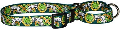 Raining Cats and Dogs | Lucky Dog Martingale Collar, an Irish Theme Collar