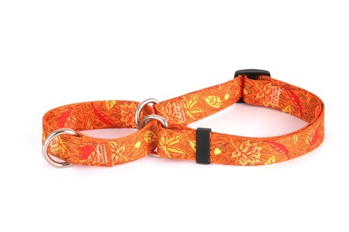 Raining Cats and Dogs | Autumn Leaves Martingale Collar