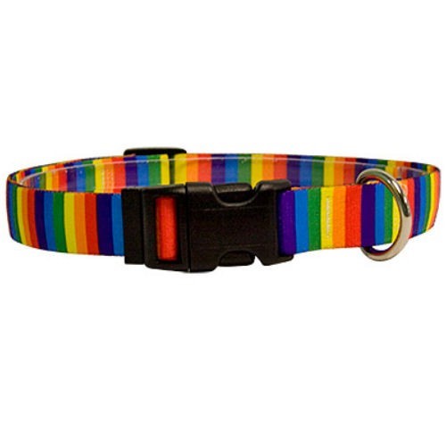 Raining Cats and Dogs | Rainbow Stripes Collar