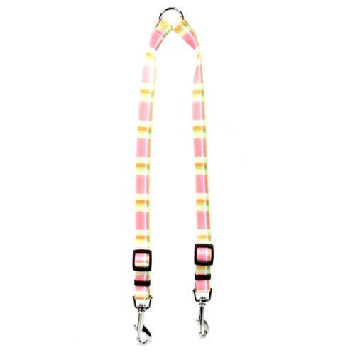 Raining Cats and Cats and Dogs | Madras Coupler