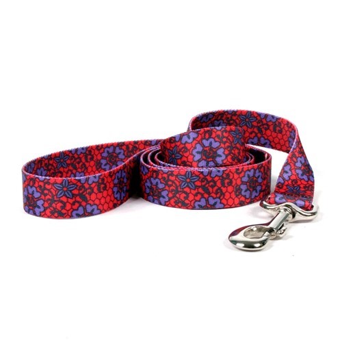 Raining Cats and Dogs | Red Lace Leash