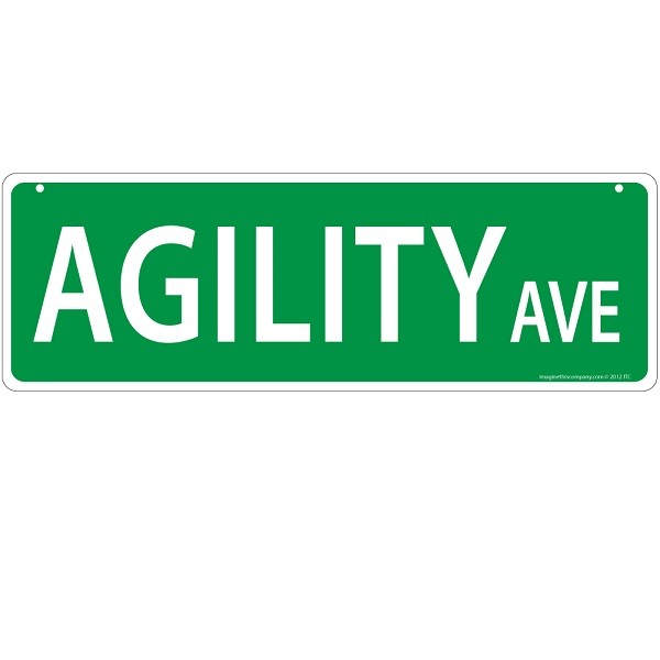 Raining Cats and Dogs | Agility Avenue Street Sign