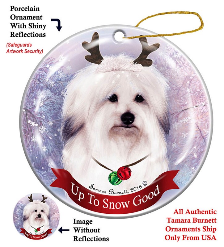 Raining Cats and Dogs |Coton De Tulear Up to Snow Good Christmas Ornament