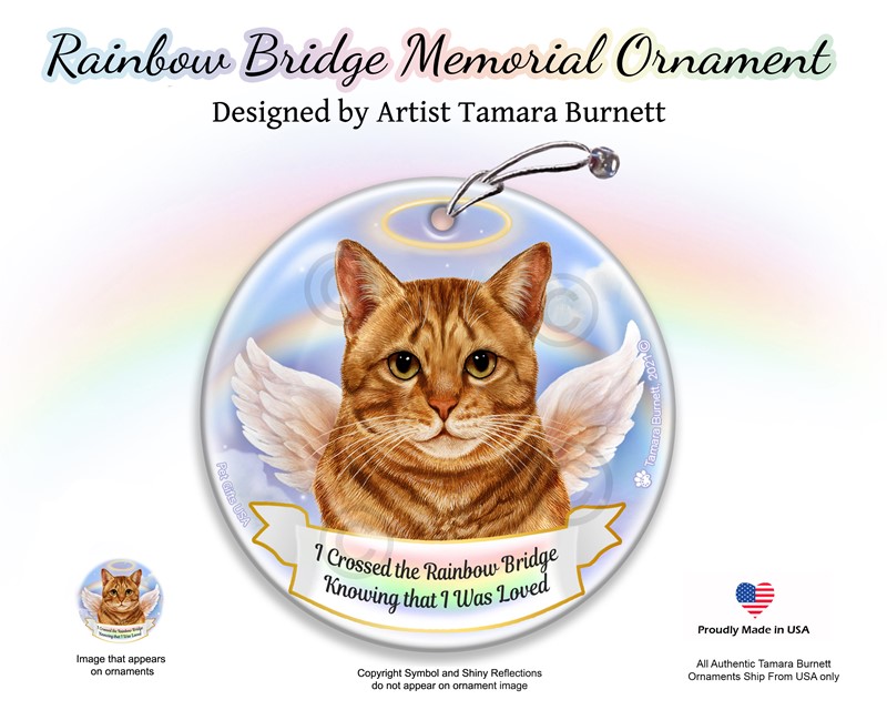 Raining Cats and Dogs |Orange Tabby Cat Rainbow Bridge Memorial Ornament