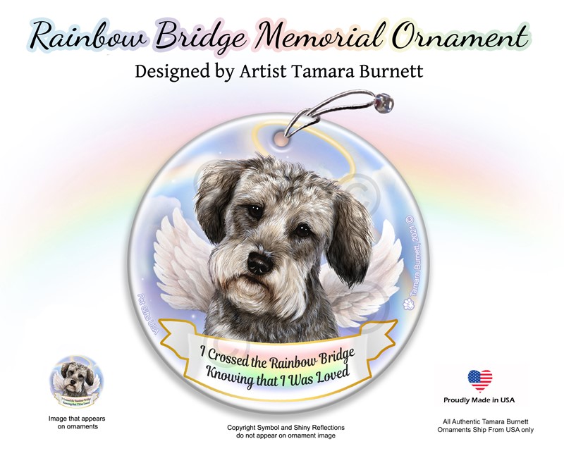 Raining Cats and Dogs | Schoodle Dog Rainbow Bridge Memorial Ornament