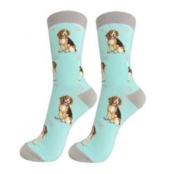 Raining Cats and Dogs | Beagle Socks