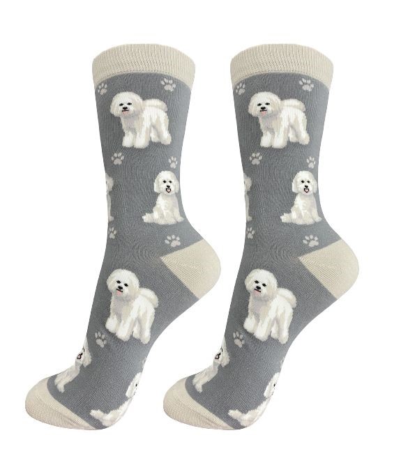 Raining Cats and Dogs | Bichon Frise Socks