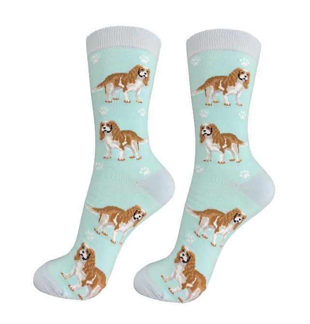 Raining Cats and Dogs |Cavalier King Charles Socks