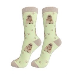 Raining Cats and Dogs |Cocker Spaniel Socks