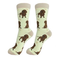 Raining Cats and Dogs | Dachshund Socks Red