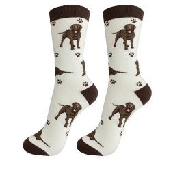 Raining Cats and Dogs | Labrador Retriever-Chocolate-Socks