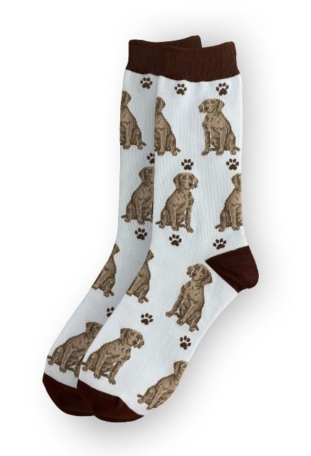 Raining Cats and Dogs | Weimaraner Socks