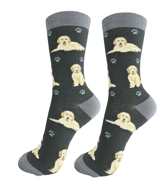 Raining Cats and Dogs | Goldendoodle Socks