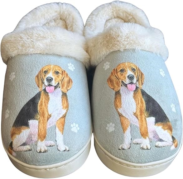 Raining Cats and Dogs | Beagle Snuggs Memory Foam Slippers