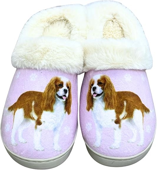 Raining Cats and Dogs | Cavalier King Charles Snuggs Memory Foam Slippers