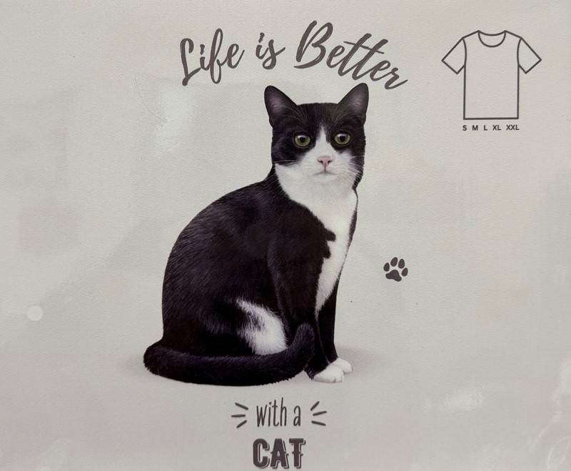 Raining Cats and Dogs | Life is Better with a Black and White Cat T-Shirt