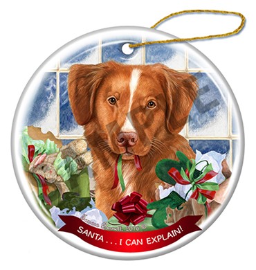 Raining Cats and Dogs | Santa I Can Explain Nova Scotia Duck Tolling Retriever Dog Ornament