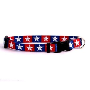 Raining Cats and Dogs |Colonial Stars Collar