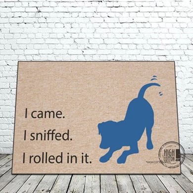 Raining Cats and Dogs | I Came I Sniffed I Rolled in It Door Mat