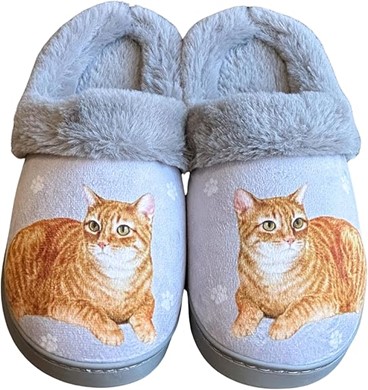 Raining Cats and Dogs | Orange Tabby Cat Snuggs Hard Sole Slippers