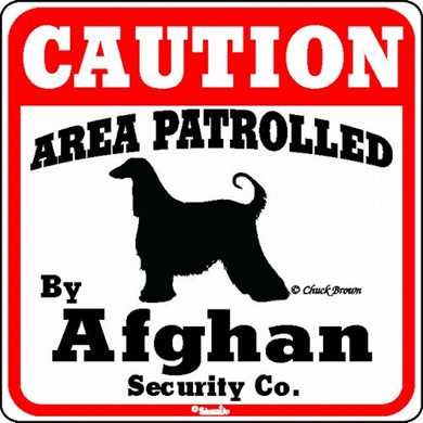 Afghan Hound Caution Sign