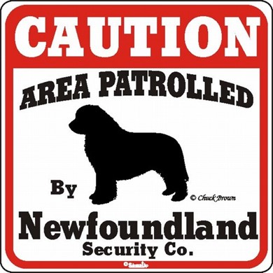 Newfoundland Caution Sign, the Perfect Dog Warning Sign
