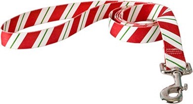Peppermint Stick Leash