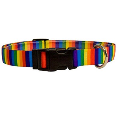 Rainbow Stripes Collar