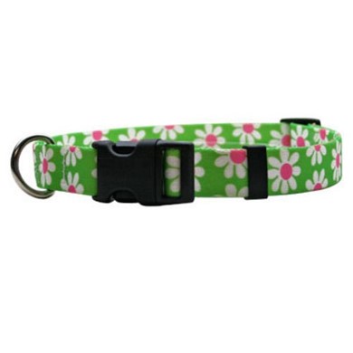 Green Daisy Collar