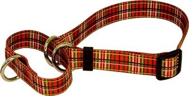 Tartan Martingale Collar