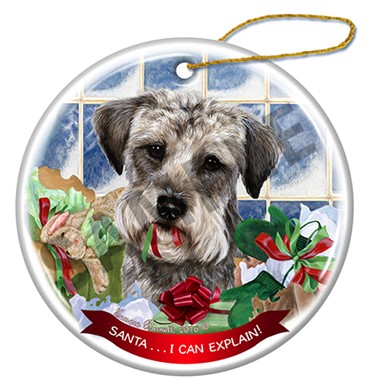 Schnoodle Santa I Can Explain Dog Christmas Ornament