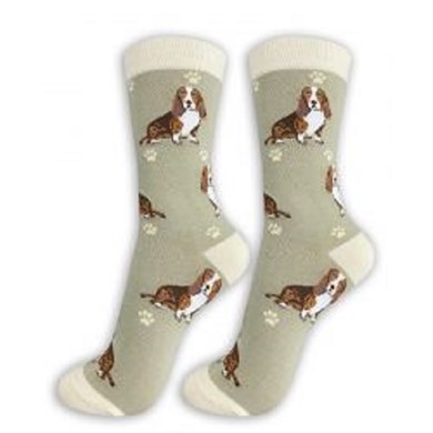 Basset Hound Socks