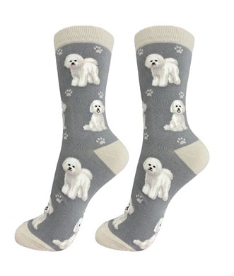 Bichon Frise Socks